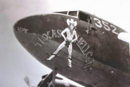 Military Aircraft Nose Art (31).jpg