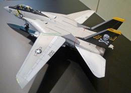 Tamiya F-14-1.jpg