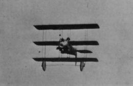 Pensuti-1.jpg