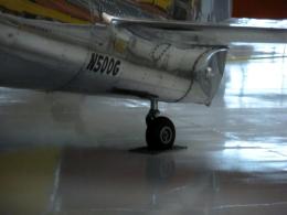 53671415753_d886866bcd_k.jpg