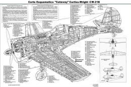 Curtiss cw-21b.jpg