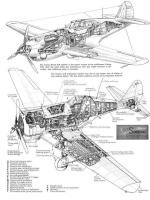 Design-Detail-P-40-Band-CW-21-B-1-CROP.jpg