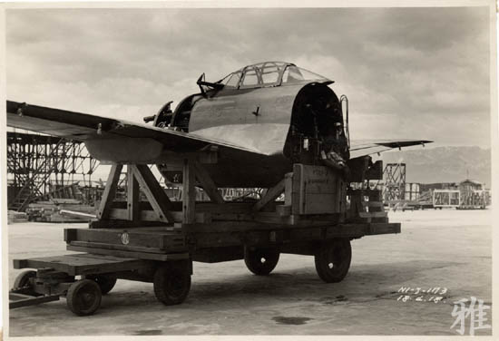 mus117.jpg