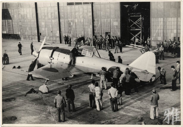 mus079.jpg