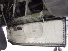 Main-9.JPG
