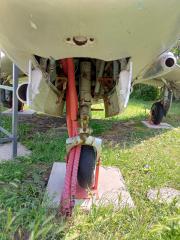 IMG_COM_202506130847161200.jpg